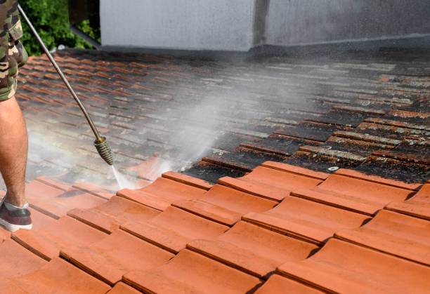 Best Exterior Home Cleaning  in Pierce, CO